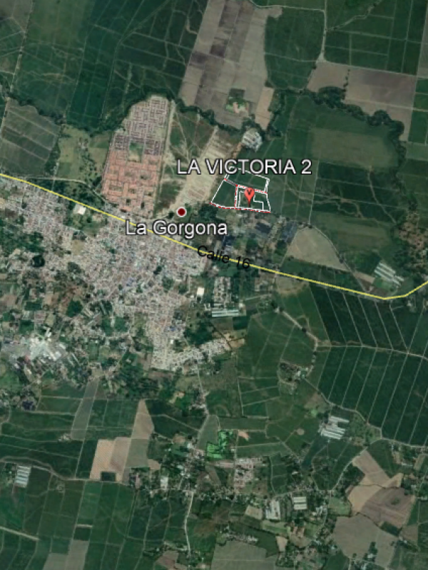 Victoria 2 - Candelaria